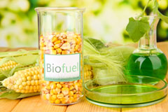 Dent biofuel availability