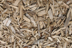 biomass boilers Dent